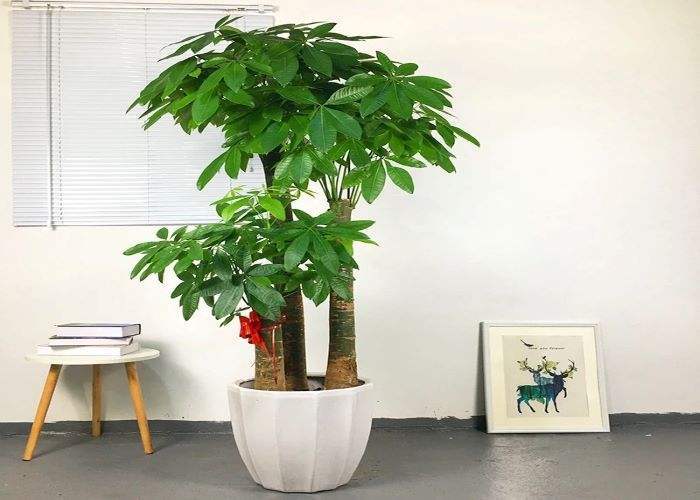 转运