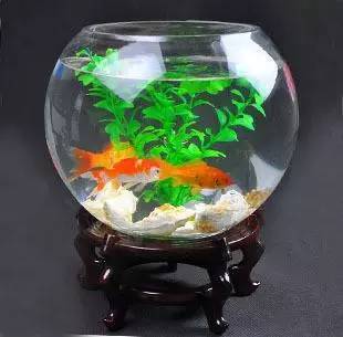 店铺风水如何布局才好-易德轩吉祥网