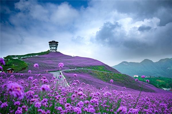 60甲子生人灾难预防及化解 2-易德轩吉祥网