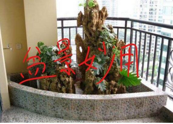 三大类催财的风水布置，用好一类就可以让你财源滚滚！-易德轩吉祥网