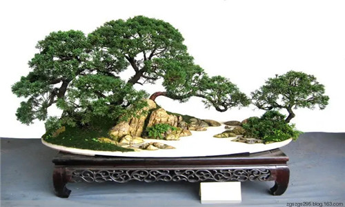 八字财旺之局如何得财更高效？相对比劫克财，反而最喜官杀参与配合？-易德轩吉祥网