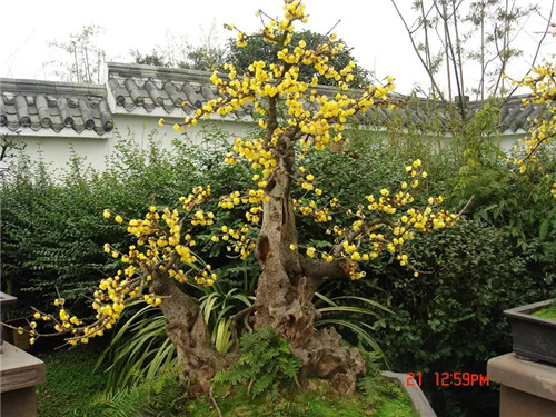 风水知识：七十二龙四大水口秘法-易德轩吉祥网