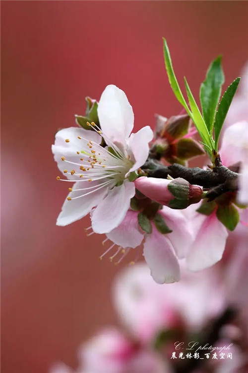 改变财运的十条小风水布局(一)-易德轩吉祥网 改变财运的十条小风水布局(一)-易德轩吉祥网