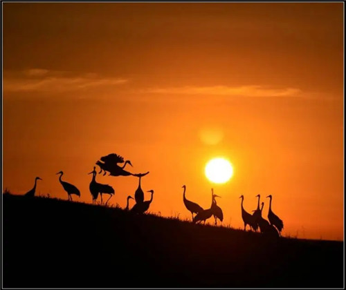 八字中吉神顺用凶神逆用是什么意思？-易德轩吉祥网