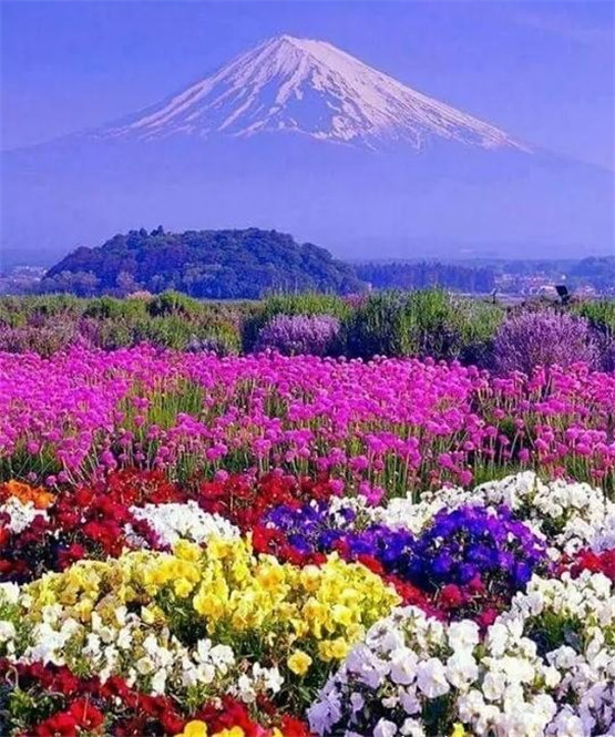 教你断四柱命例祥释-易德轩吉祥网