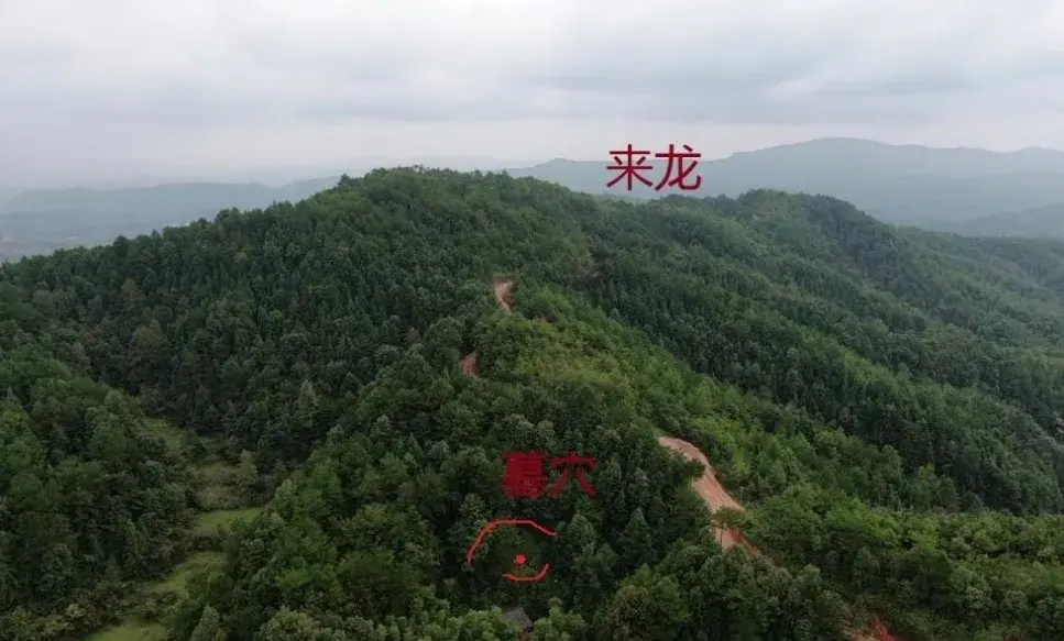 寻龙的步骤，在现实生活当中，我们寻龙应该怎么入手？-易德轩吉祥网