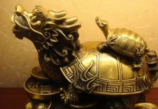 龙龟适合放在家里的财富位置