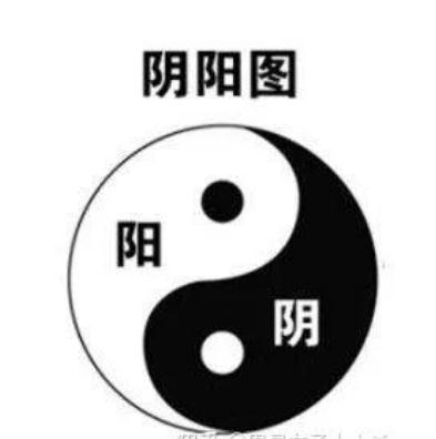 室内风水盆栽解析（仅供参考）-易德轩吉祥网