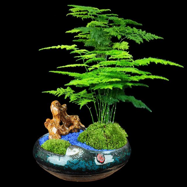 风水摆件十大排名