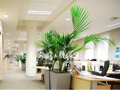 办公室座位不靠墙的破解方法-易德轩吉祥网