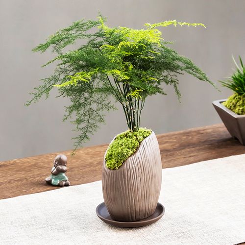 岁末年初：灾难规避指南！