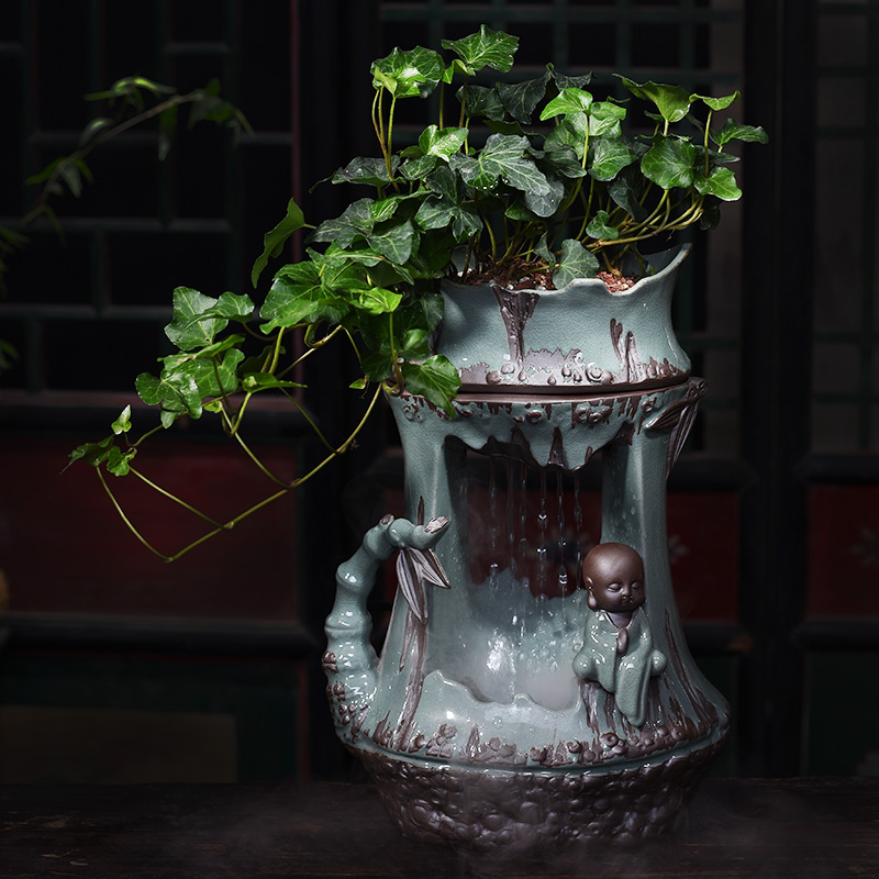 卫生间摆放什么植物可以给家里带来财运？