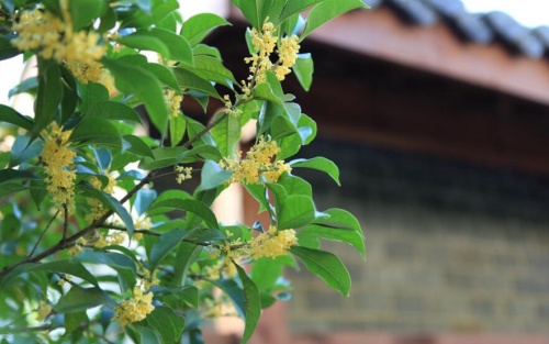 把握春天机遇：2026上半年这些人最容易有收获！