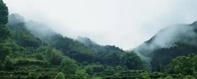 什么才是玄空风水真正的气运？-易德轩吉祥网