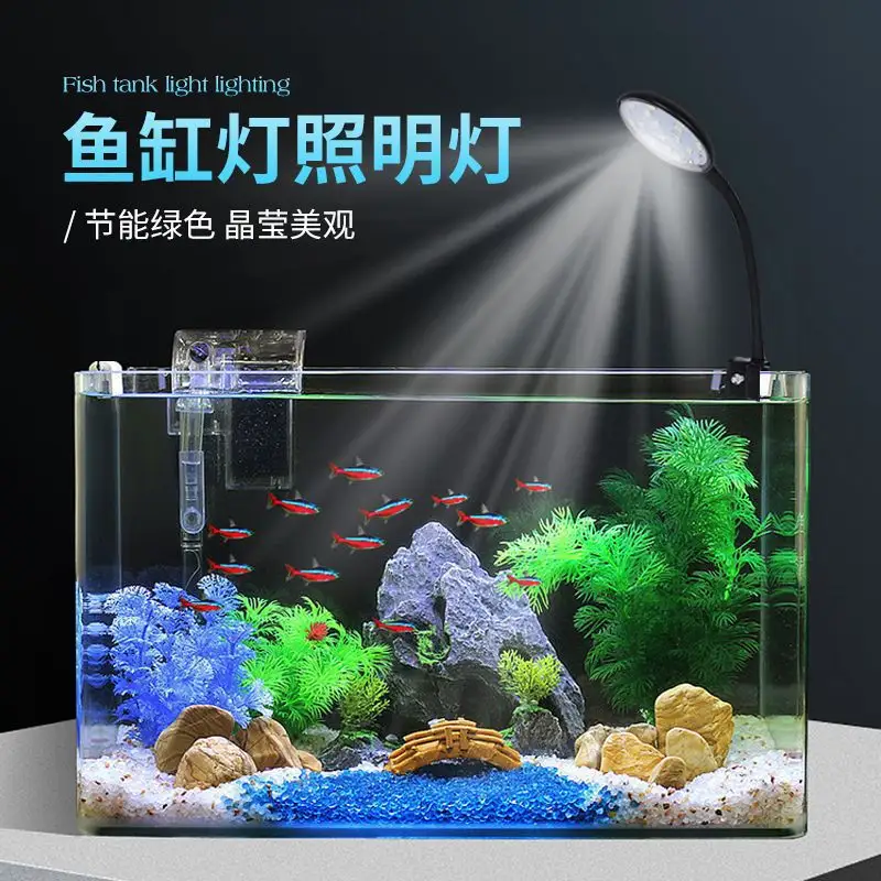 摆放鱼缸能够给人一种生机勃勃的感觉，可以给自己的生活增添色彩，也能够在工作忙碌的时候欣赏鱼儿，缓解压力，调节心情。可是鱼缸的摆放有很多养鱼风水讲究，要摆放得当才能够给自己带来好运和福气，那么鱼缸应该摆放在哪里好？
