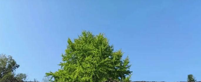 轻松读懂天干地支五行属性理论，你学会了吗？-易德轩吉祥网