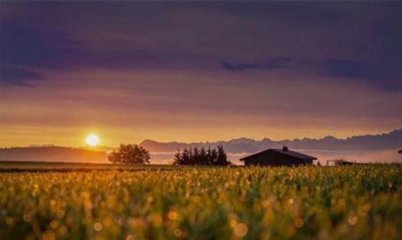 平原区如何分金定穴？关键找寻平洋龙-易德轩吉祥网