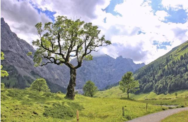 八字神煞由来-易德轩吉祥网